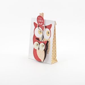 Sacchetto gufo con portachiavi in legno più molletta Pz. 6