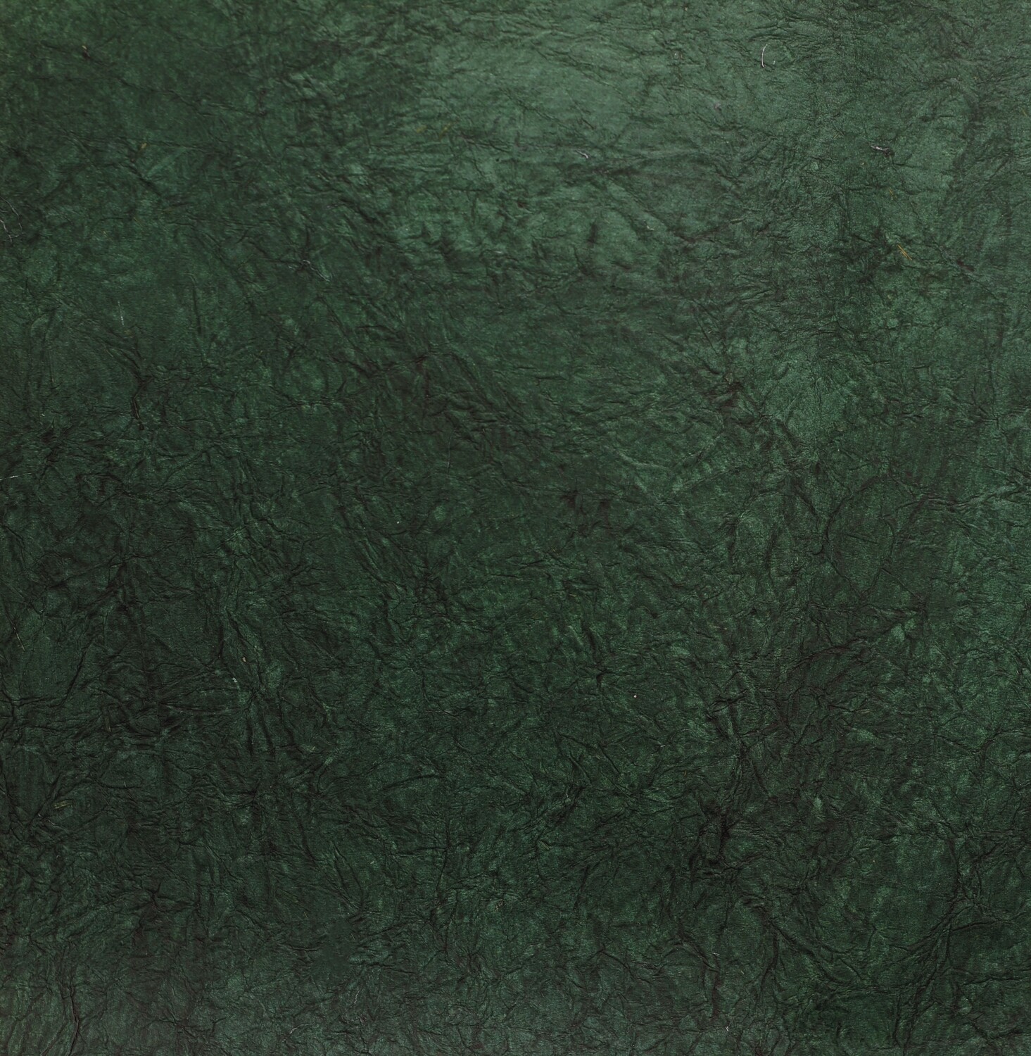 Carta leather 56×76 Pz.1