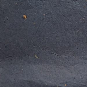 Carta leggera con inserti vegetali 65×90 Pz.1