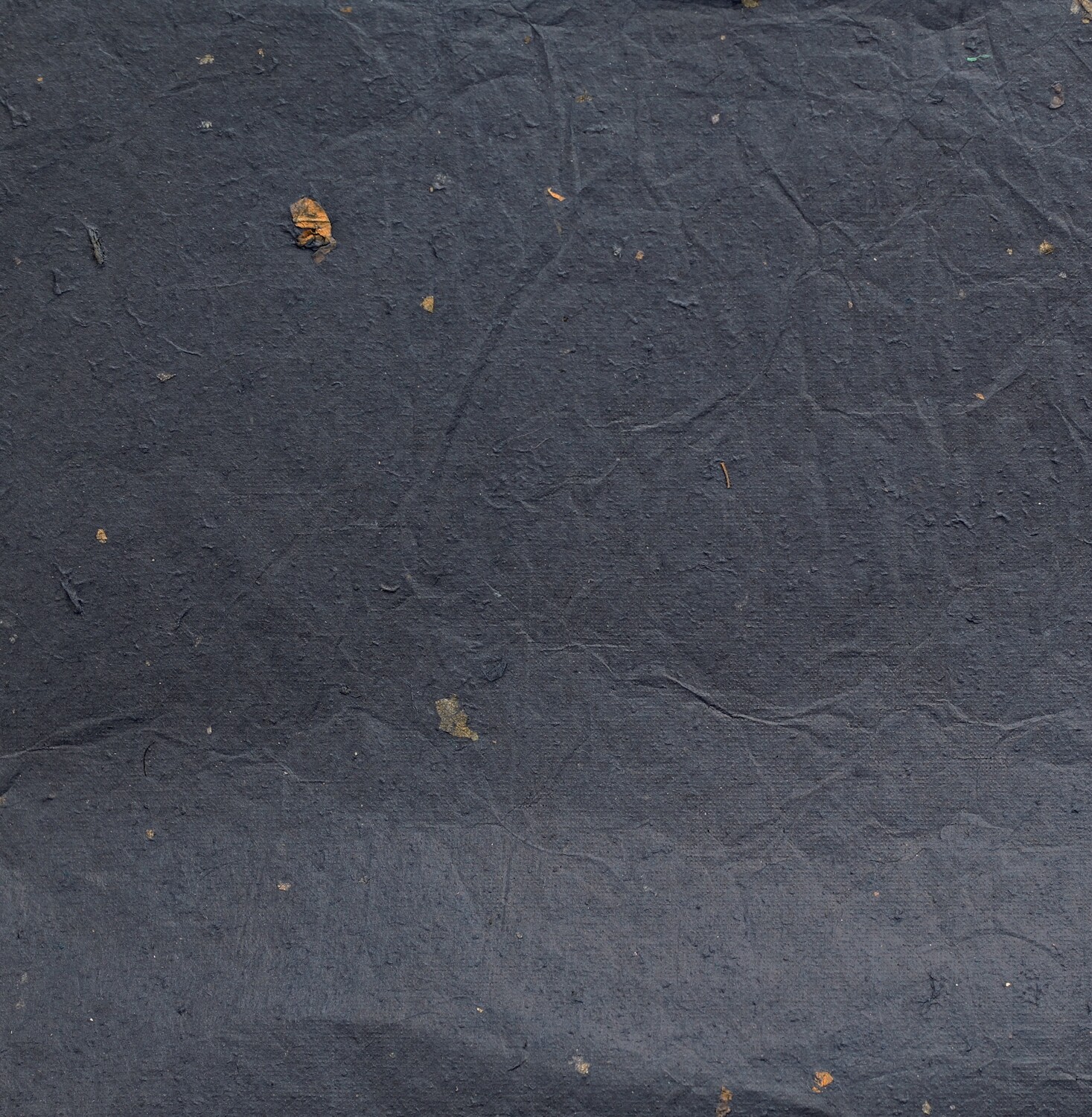 Carta leggera con inserti vegetali 65×90 Pz.1 - immagine 2