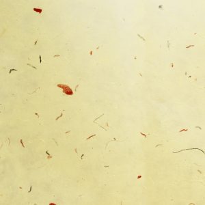 Carta leggera con inserti vegetali 65×90 Pz.1