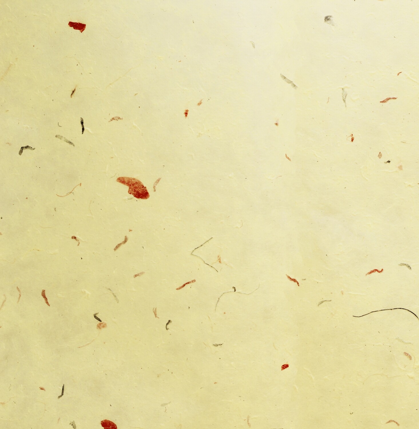 Carta leggera con inserti vegetali 65×90 Pz.1