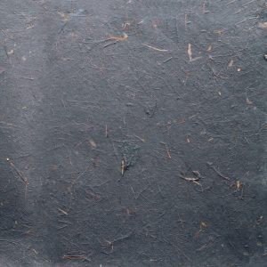 Carta banana con inserti vegetali, 55×80 Pz.1