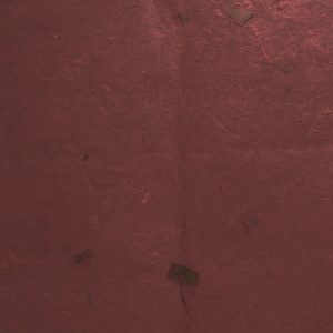 Carta banana con inserti vegetali, 55×80 Pz.1