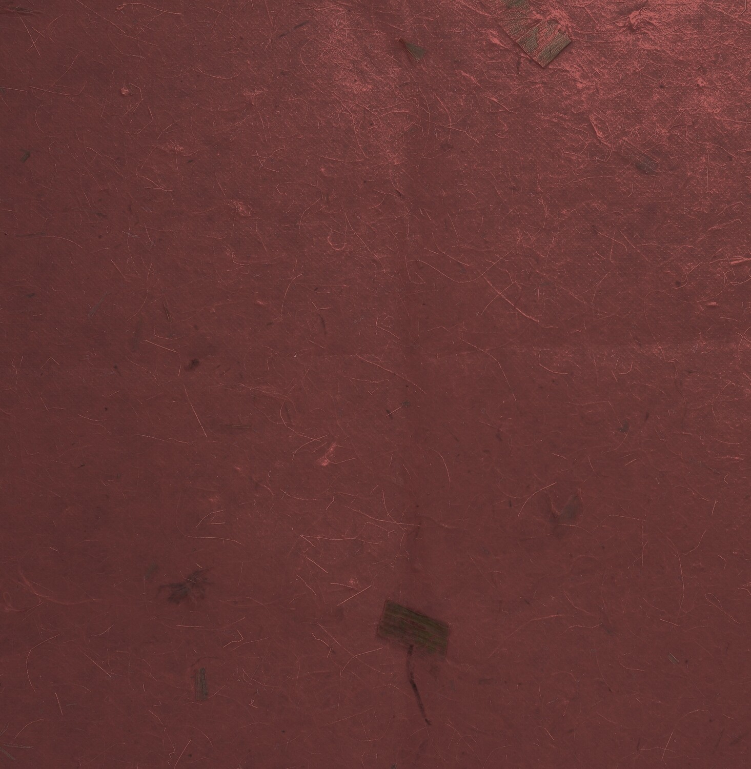 Carta banana con inserti vegetali, 55×80 Pz.1 - immagine 2