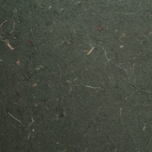 Carta banana con inserti vegetali, 55×80 Pz.1