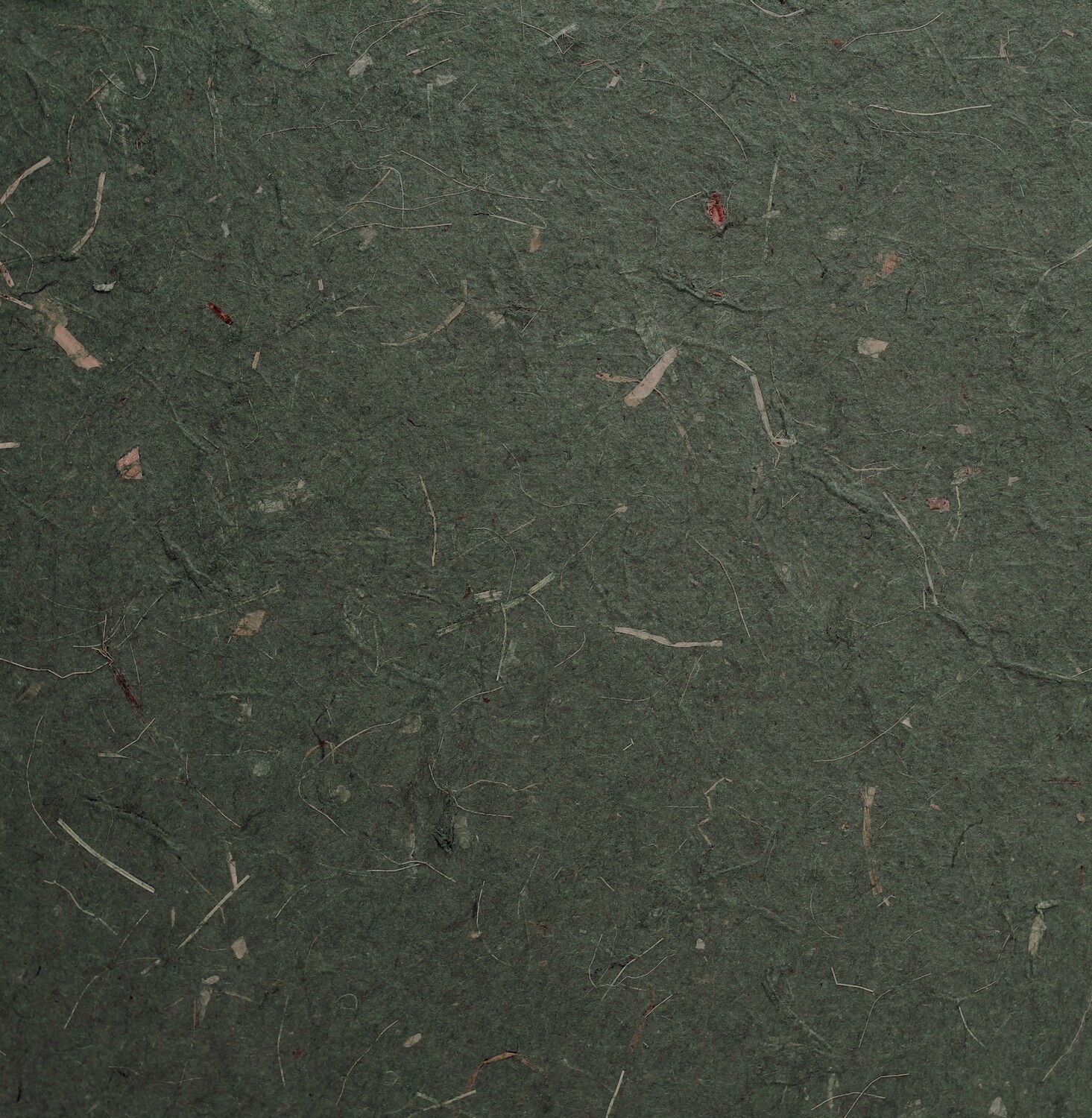 Carta banana con inserti vegetali, 55×80 Pz.1 - immagine 2