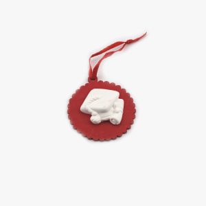 Appendino gessetto laurea Pz. 6