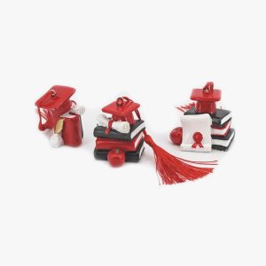 Appendino laurea tre soggetti Pz. 6