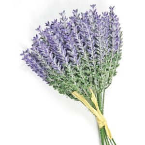 Bush Ramo Lavanda