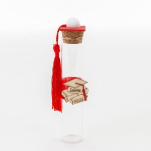 Bomboniera Provetta vetro laurea 24 pz