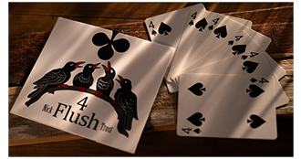 4 Flush - immagine 2