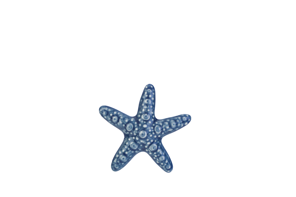 stella marina porcellana col. blu 7,5 cm. pz. 12 - immagine 2