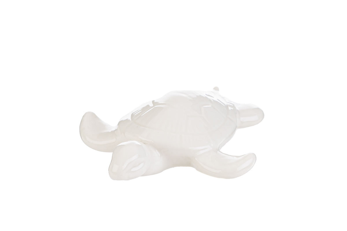 tartaruga marina porcellana col. bianco 7,5×7 cm. pz. 12