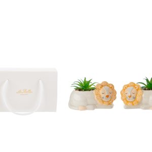 VASETTO LEONE PIANTINA ARTIFICIALE 2 ASS.13×7,5xh.8,5CM C/SHOPPER 156570 PZ. 4