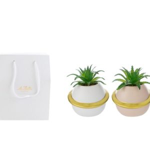 VASETTO PIANETA PIANTINA 2ASS.7,5×7,5xh.8,5CM C/SHOPPER 13692 PZ. 4