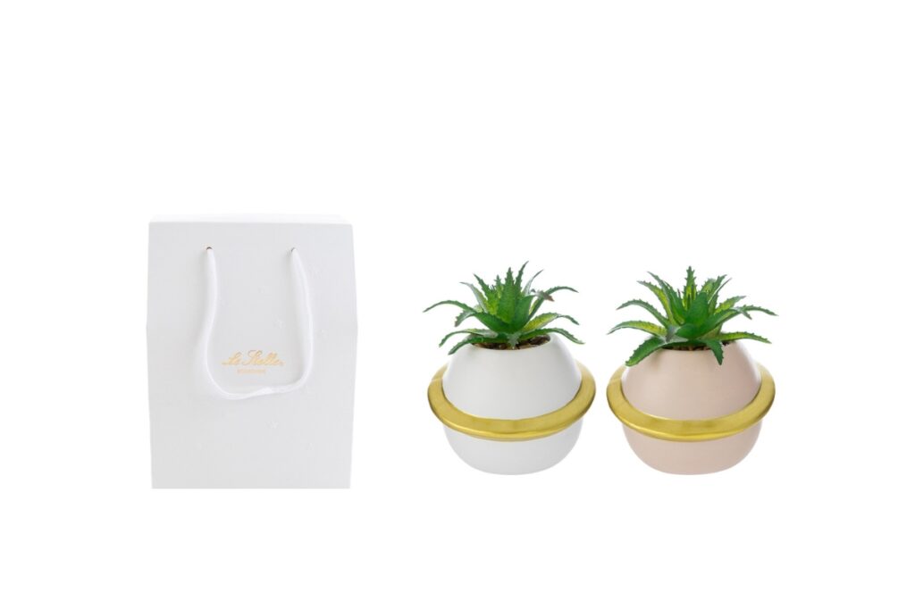 VASETTO PIANETA PIANTINA 2ASS.7,5×7,5xh.8,5CM C/SHOPPER 13692 PZ. 4