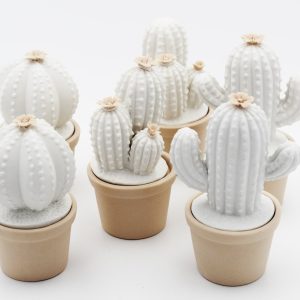 Bomboniera Ilary Queen Cactus led Pz. 3