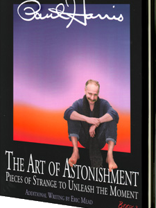 Art Of Astonishment 2