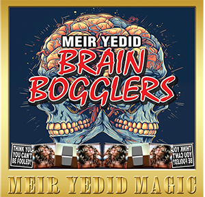 Brain Bogglers