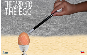 Card Into Egg