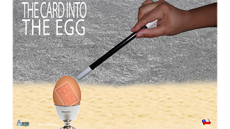 Card Into Egg - immagine 2