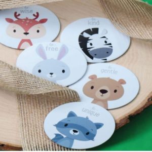 Magnete animali foresta 12 pz