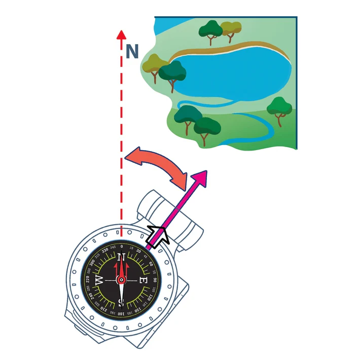 Alla scoperta della natura- Clementoni – Scienza e Gioco – 8005125193288 - immagine 6