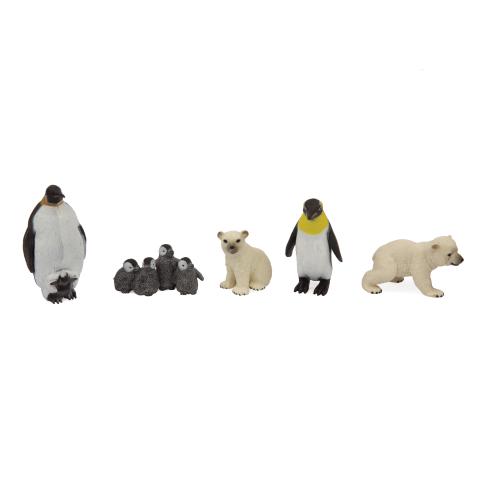 Animali – Mondo Polare, Marino e Uccelli – GGI220194 - immagine 4