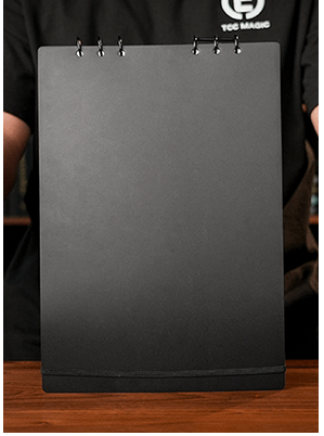 Svengali Album - immagine 2