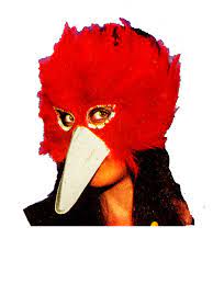 Domino – maschera uccello con piume – Widmann 6592s colori assortiti